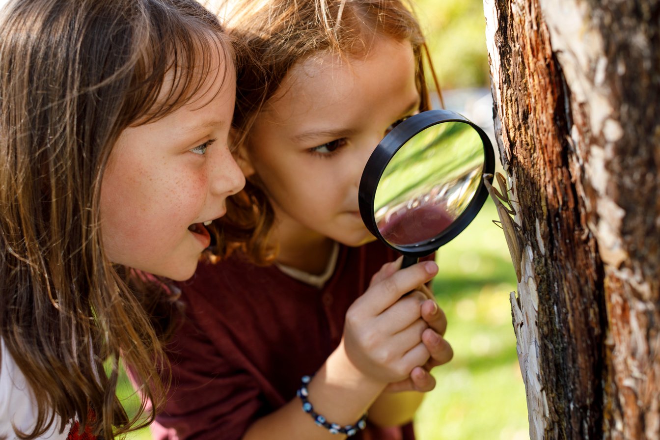 School children exploring insects